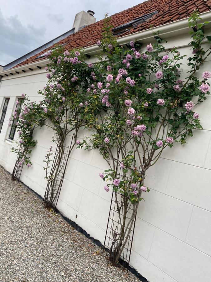 Zweeden Verhuur Appartement Biggekerke